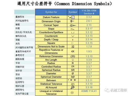 iPhone 5壁纸尺寸探讨，iPhone 5壁纸尺寸探讨，全面解析