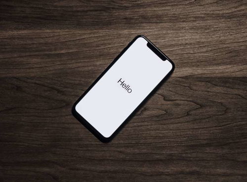 iPhone呼死你揭秘，揭秘iPhone呼死你，如何有效应对骚扰电话？