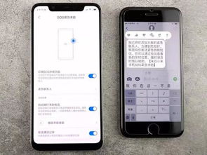 iPhone挂失，应对紧急情况的必备指南，iPhone紧急挂失指南，应对突发情况的实用手册