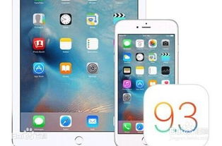 iPhone 6升级至IOS9.3体验，深度优化与新功能，iPhone 6升级至IOS9.3体验，深度优化与新功能揭秘
