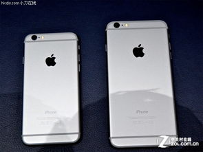 iPhone6P换屏，全面解析与操作指南，iPhone6P屏幕更换全解析与操作指南