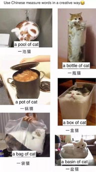 奶茶包装使用不雅文字遭吐槽