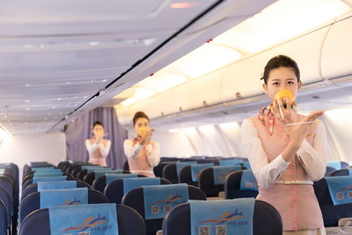 幸福航空全面停航 飞行员直播聊欠薪