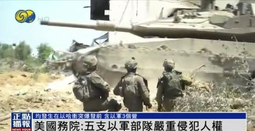 巴公布“铜墙铁壁”军事行动细节