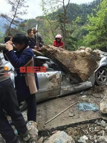男子驾车被山石砸中身亡