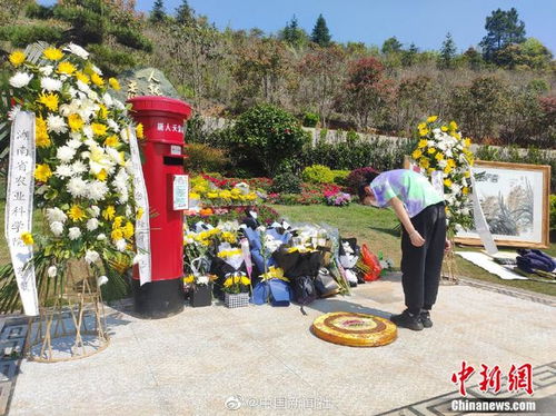 袁隆平夫人在亲友搀扶下到墓园祭扫