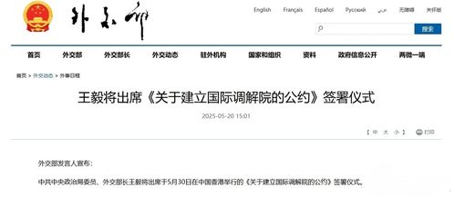 王毅签署国际调解院公约