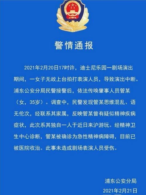 上海迪士尼有游客打架 警方通报