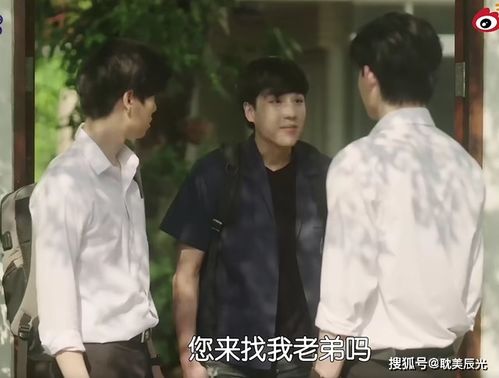 这部剧火得太及时了