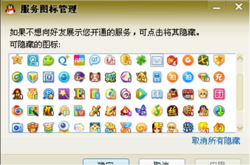 全球首个满级QQ诞生