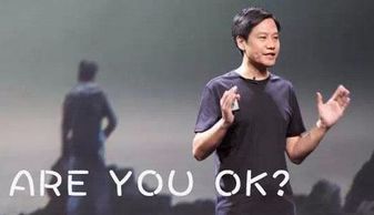 雷军回应YU7能否打赢Model Y(雷军对are you ok)